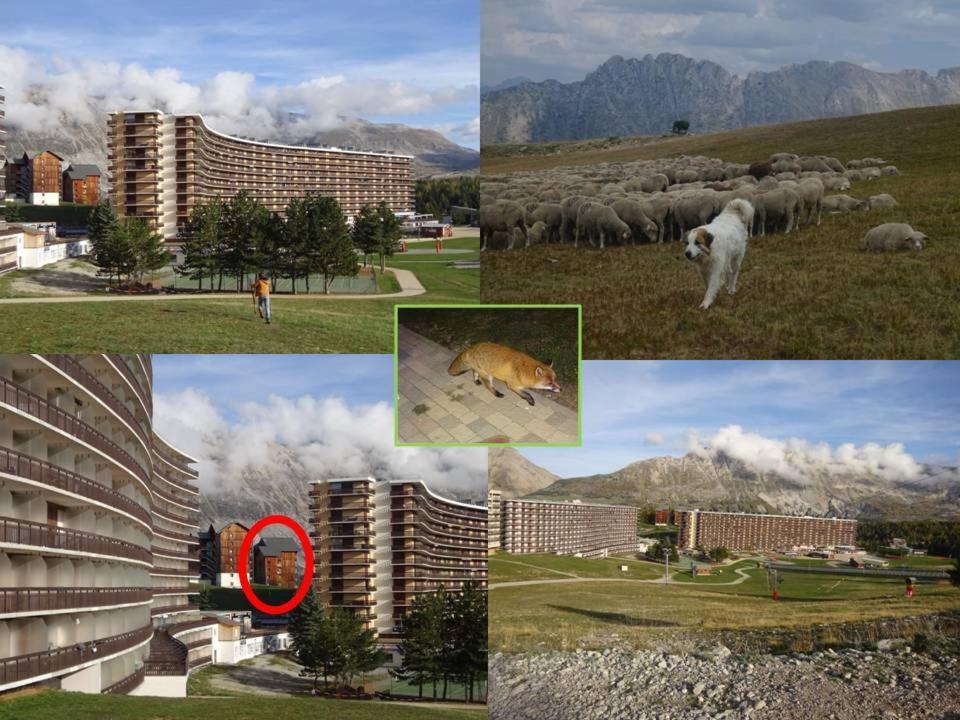 Appartement 8-10 Personnes Superdevoluy Hautes Alpes Rez De Chaussee Vue Panoramique 3 Chambres Saint-Étienne-en-Dévoluy Eksteriør billede