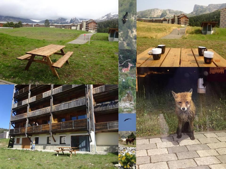 Appartement 8-10 Personnes Superdevoluy Hautes Alpes Rez De Chaussee Vue Panoramique 3 Chambres Saint-Étienne-en-Dévoluy Eksteriør billede
